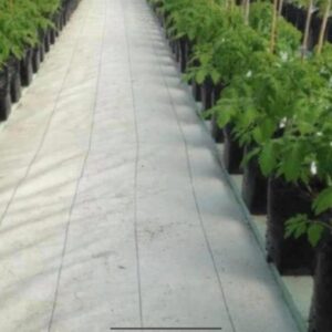 Ground Cover O Malla Antimaleza 2×10 Cubre Suelos Blanco